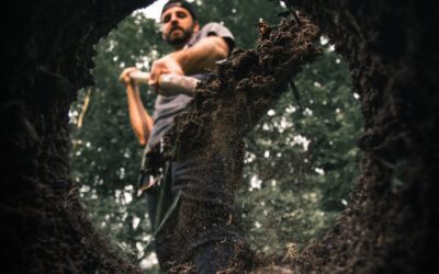 The Ultimate Guide to Ficus Tuffi Spacing